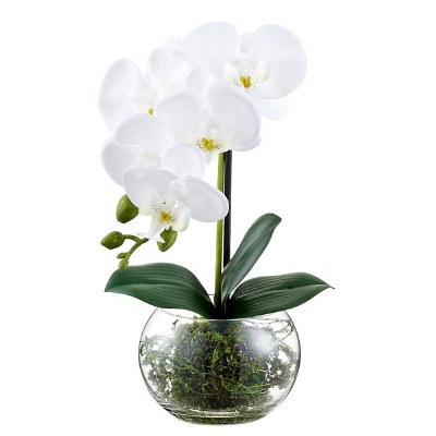 13" Faux  White Phaleo in a Glass Ball Vase