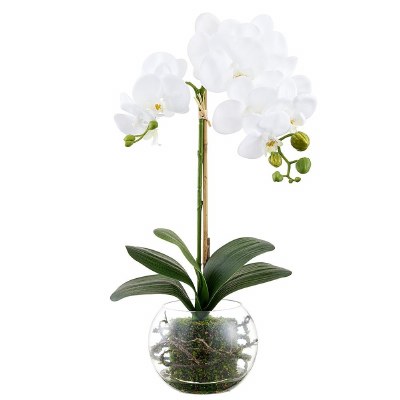 20" Faux White Phaleo in a Glass Ball Vase