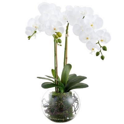 22" Faux White Phaleo in a Glass Ball Vase