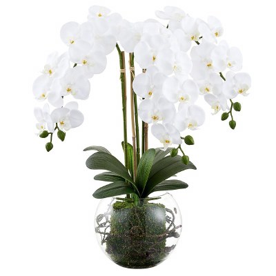 26" Faux White Phaleo in a Glass Ball Vase
