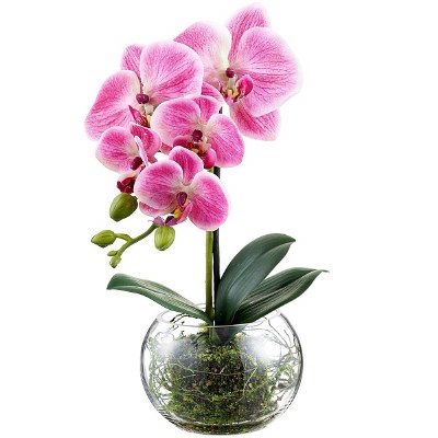 13" Faux Pink Phaleo in a Glass Ball Vase