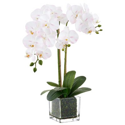 22" Faux White and Pink Phaleo in a Square Glass Vase
