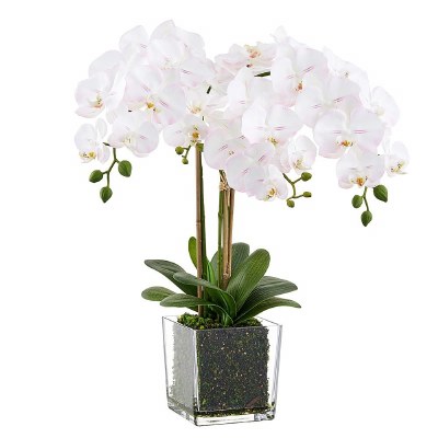 26" Faux White and Pink Phaleo in a Square Glass Vase