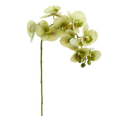 30" Faux Green Phaleo Spray