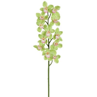 39" Faux Green Cymbidium Spray