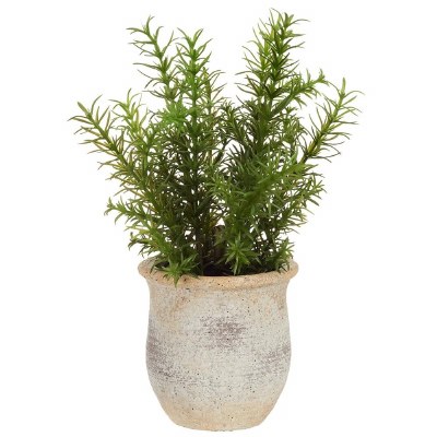 11" Faux Rosemary in a Terracotta Pot