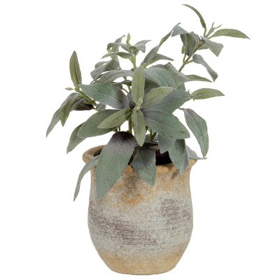 11" Faux Sage Herb in a Terracotta Pot