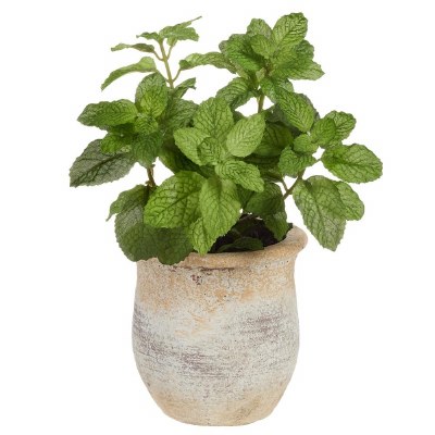 11" Faux Mint in a Terracotta Pot