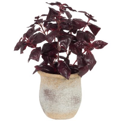 11" Faux Burgundy Basil in a Terracotta Pot