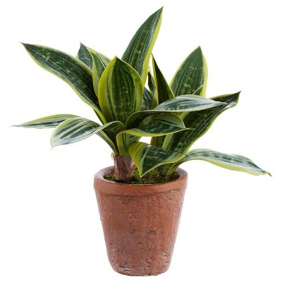 11" Faux Green and Cream Sansevieria in a Terracotta Pot
