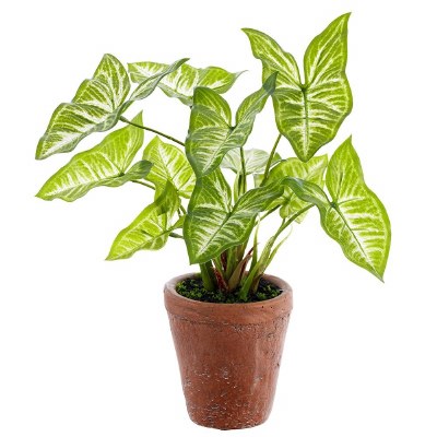 11" Faux Green and Cream Arrowhead in a Terracotta Pot