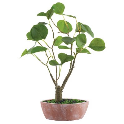 16" Faux Eucalyptus Bonzai in a Terracotta Pot