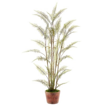 60" Faux Green Sword Fern in a Terracotta Pot