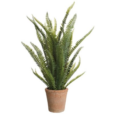 28" Faux Green Boston Hern in a Terracotta Pot