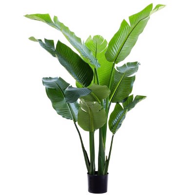 5.5' Faux Green Bird of Paradise in a Black Pot