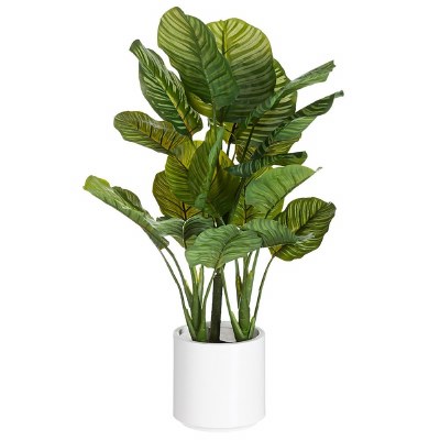 28" Faux Green Calathea in a White Pot