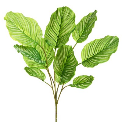 30" Faux Green Calathea Bush