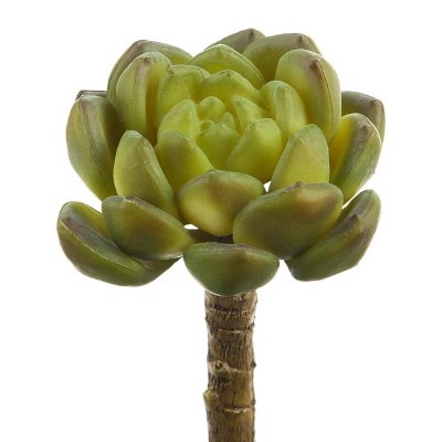 5" Faux Green Hen & Chicks Pick
