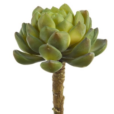 5" Faux Green Large Hen & Chicks Pick