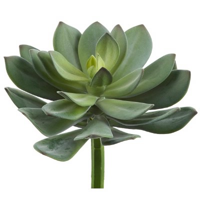 9" Faux Green and Gray Echeveria