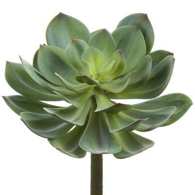 12" Faux Green and Gray Echeveria
