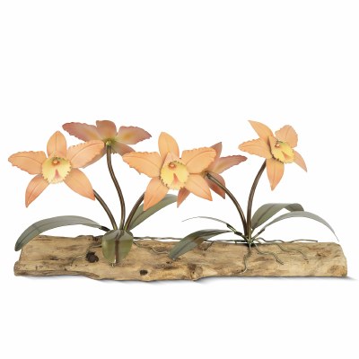 24" Multicolor Five Orchids on Driftwood Centerpiece MM939