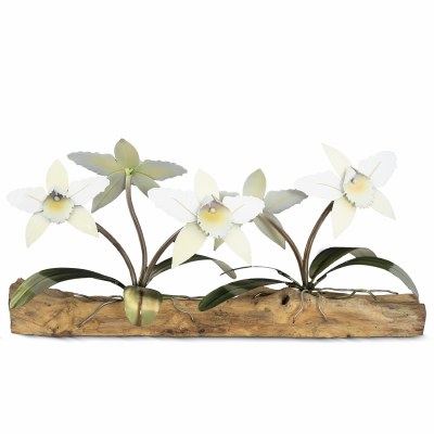 24" White Five Orchids on Driftwood Centerpiece MM939W