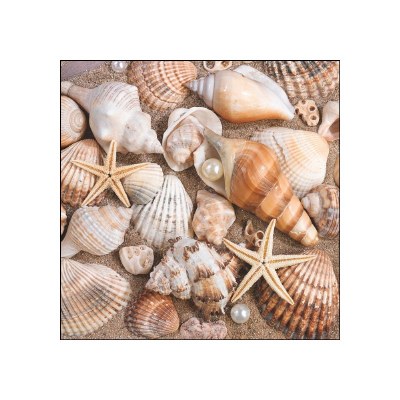5" Sq Seashells Beverage Napkins