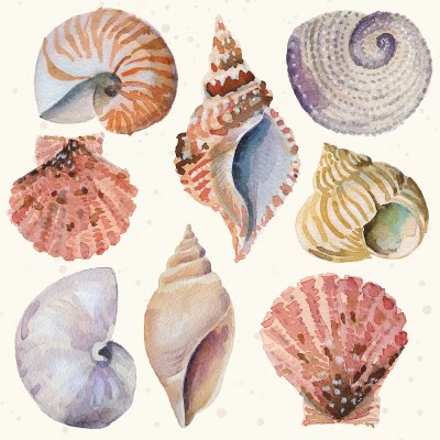 6.5" Sq Shells & Sand Lunch Napkins