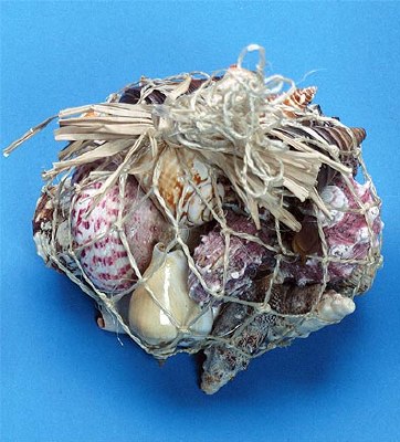 Shells in Abaca Net Bag