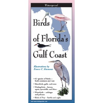 9" Birds of Florida's Gulf Coast Folding Laminated Guide