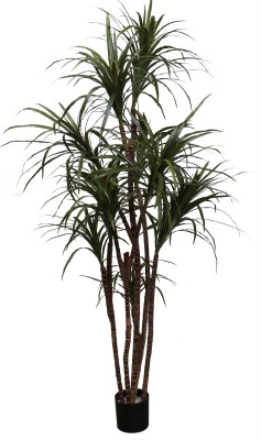 60" Potted Artificial Dracena Marginata Tree