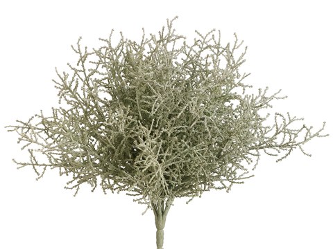 Allstate Floral Green Gray Spanish Moss Bush, 10 in.