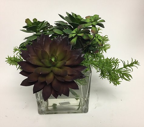 11 Faux Green And Burgundy Succulents In Square Glass Vase