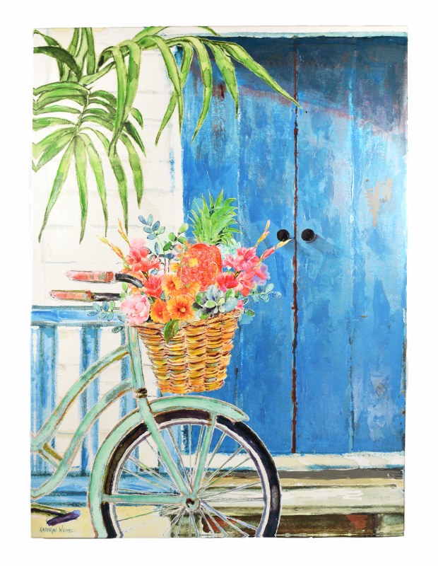 blue door bikes