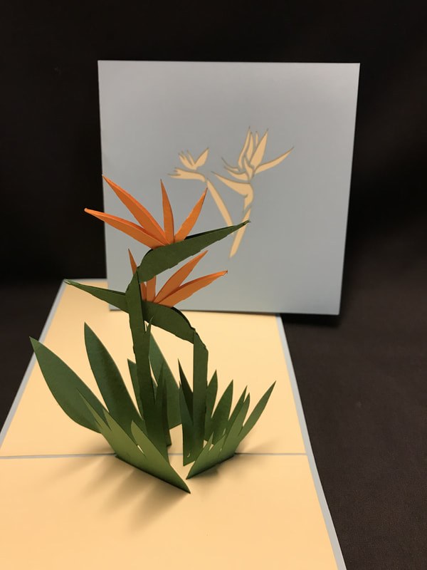 6" Square Pop Up Bird Of Paradise Card Wilford & Lee Home Accents