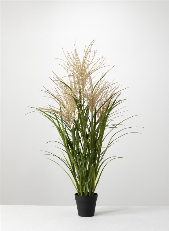 42" Faux Potted Agave Reed Wilford & Lee Home Accents