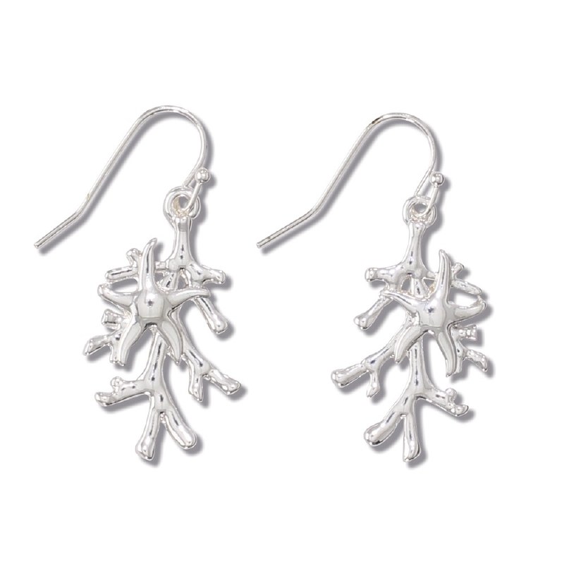 silver toned earrings