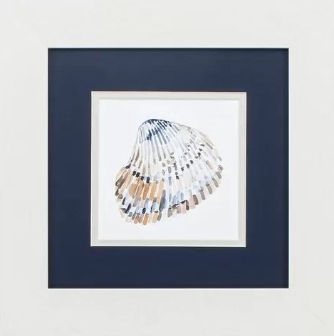 13 Sqaure Blue Clam Shell in White Frame Under Glass