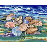 6" Square Multicolor Shell Shore Ceramic Tile