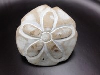 3" Round Sand Dollar Napkin Ring