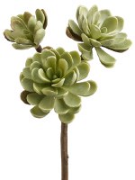 10" Faux Green Artificial Hen & Chicks