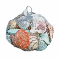 Polished Shell Assortment in Plastic Net Bag