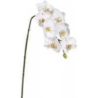 34" Faux White Artificial Phalaenopsis Spray