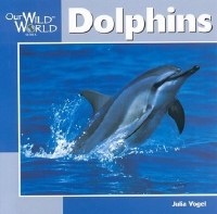 Dolphins Our Wild World Children's Book