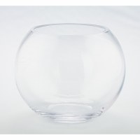 8" Clear Glass Bubble Ball Bowl