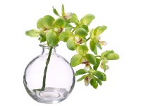 10" Faux Green Phalaenopsis in Glass Vase