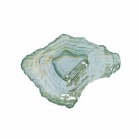 9" Green Textured Glass Oyster Shell Dish