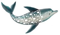 24" Large Openwork Metal Dolphin with Tail Up Coastal Wall Art Plaque