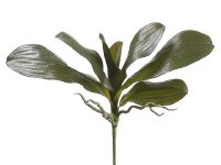 16" Green Artificial Phalaenopsis Leaf Spray